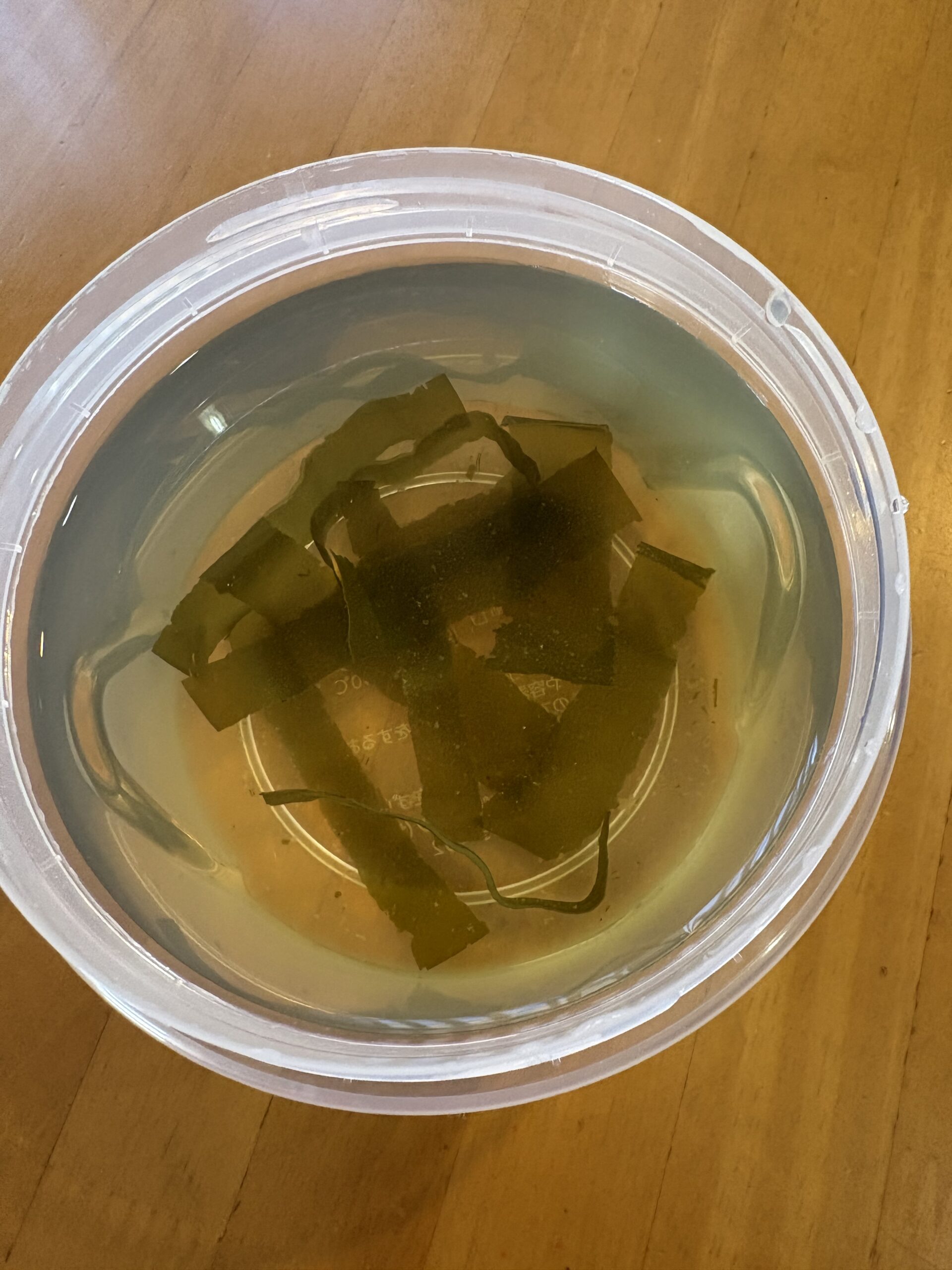 本日のつぶやき