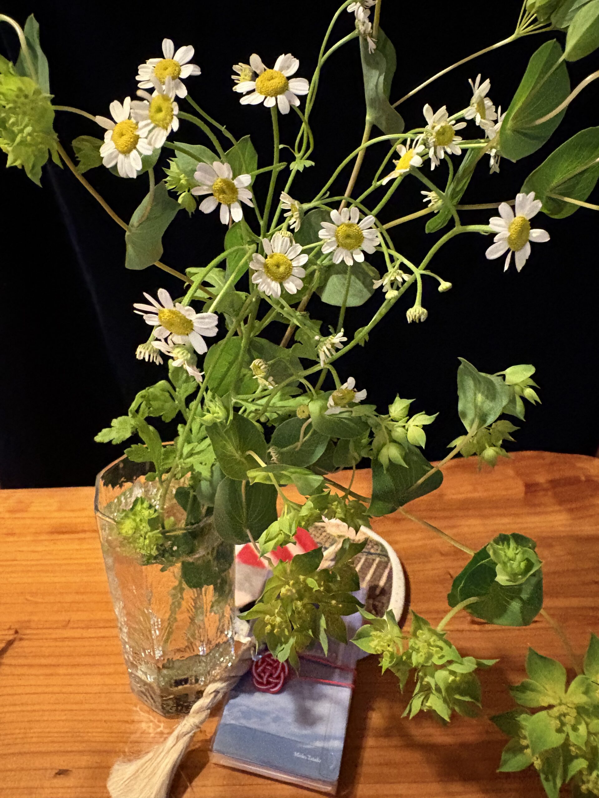 本日のつぶやき/偲ぶ会でした