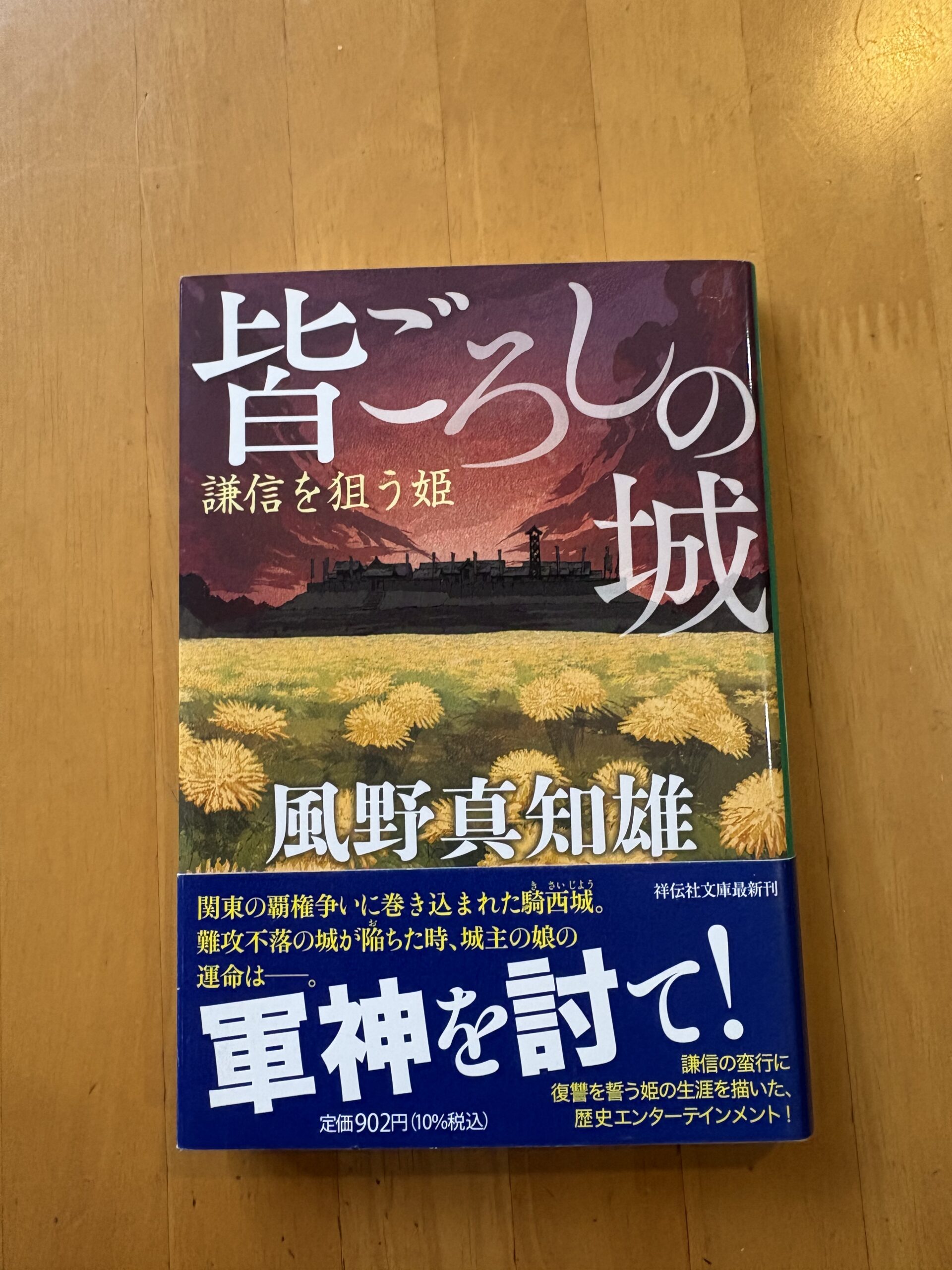 皆ごろしの城