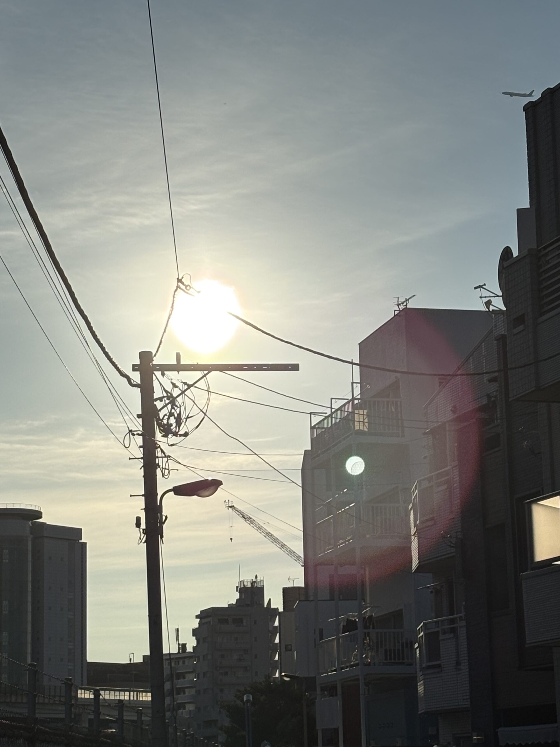 本日のつぶやき/ぎゃ〜〜〜〜‼︎