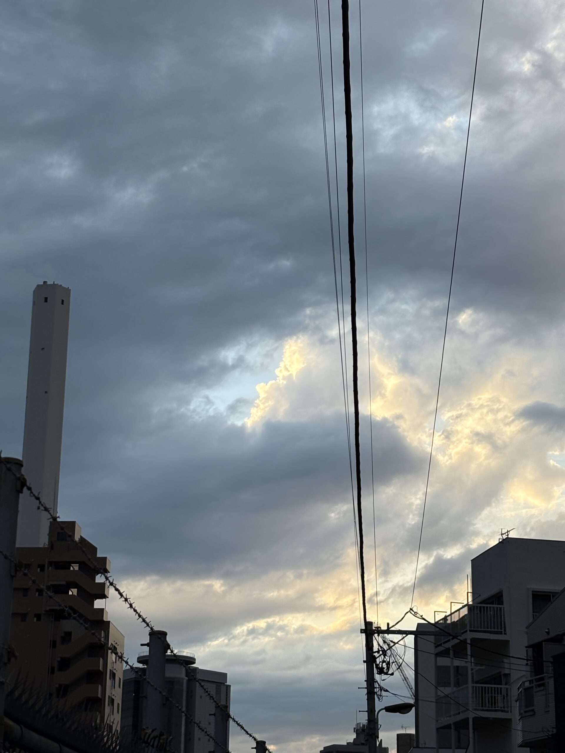本日のつぶやき/お手伝いDAY